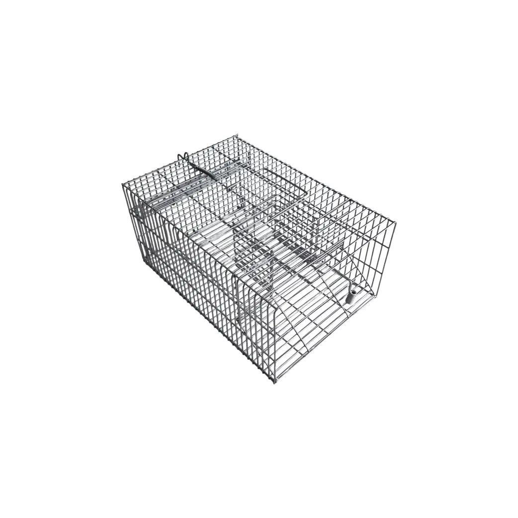 Repeating Trap