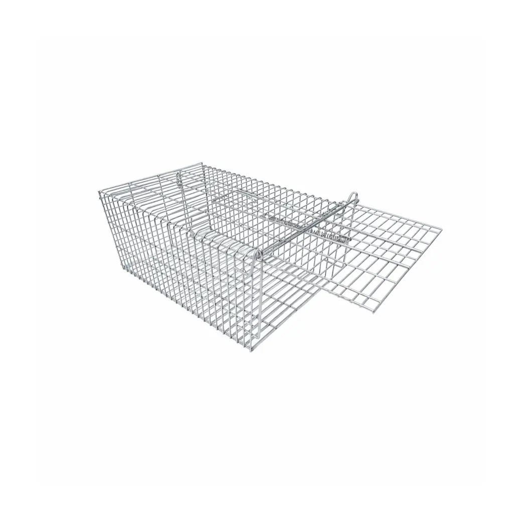 Single Trap
